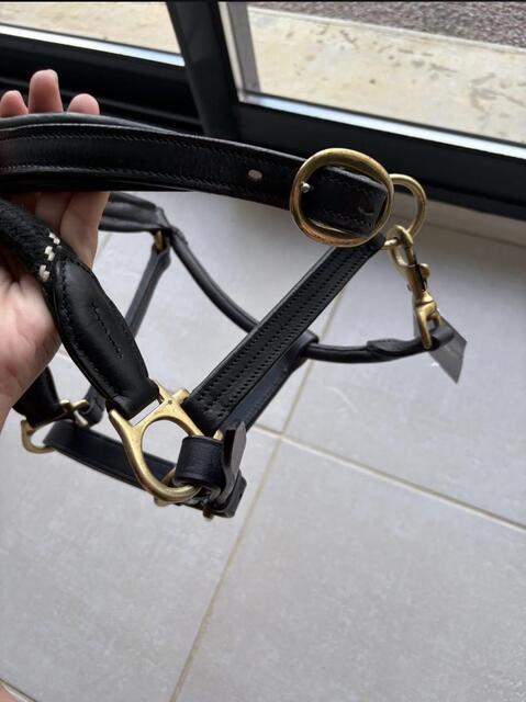 Licol en cuir noir