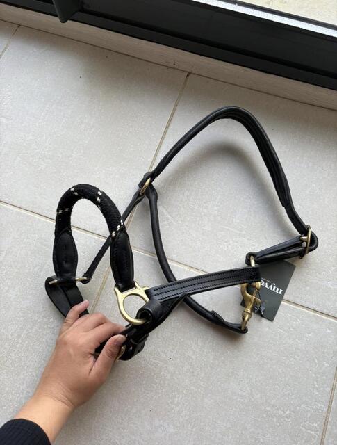 Licol en cuir noir
