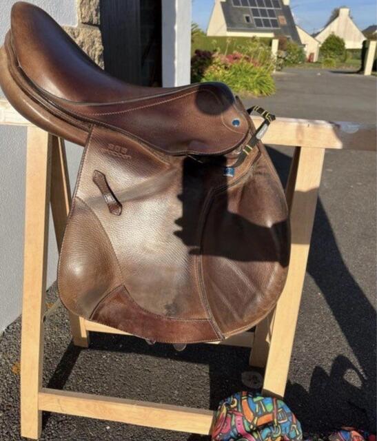 selle stubben