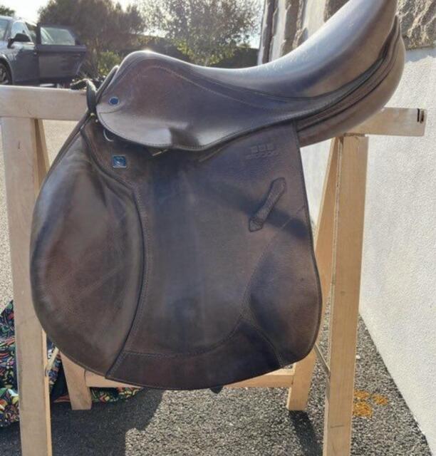 selle stubben