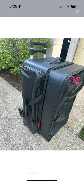 valise horse and travel