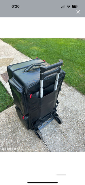 valise horse and travel