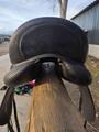 selle dressage DEVOUCOUX MAKILA LAB 17.5
