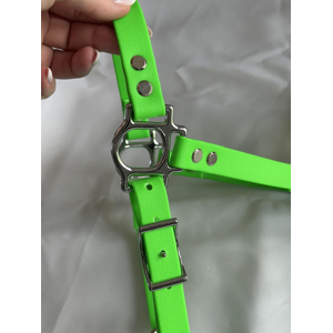 Licol sangle enduite vert néon