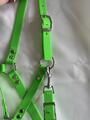 Licol sangle enduite vert néon