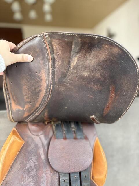 Selle Terry’s