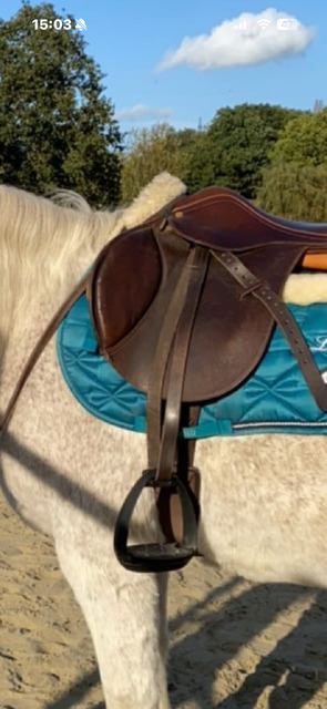 Selle Terry’s