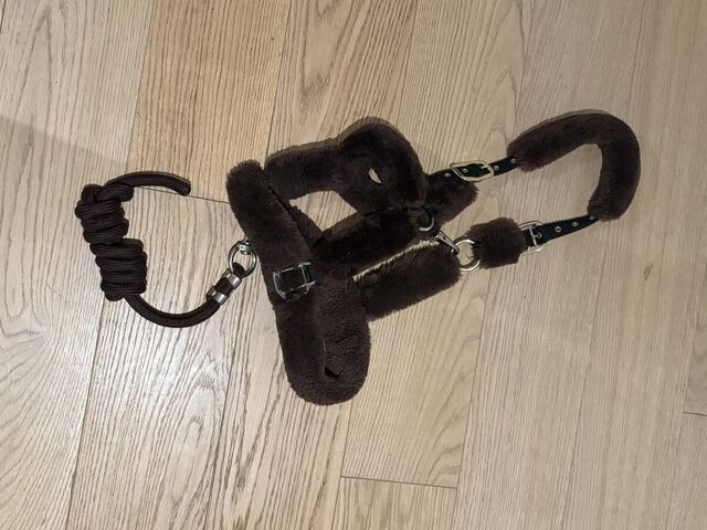 Licol mouton Kentucky + corde