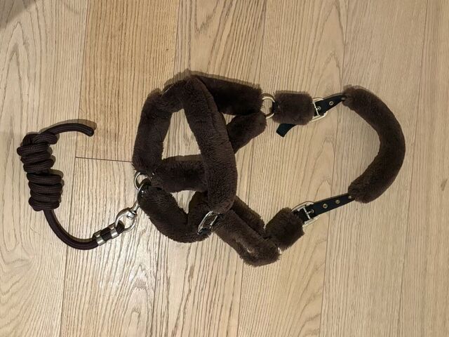 Licol mouton Kentucky + corde