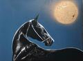 Tableau cheval