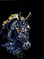 Tableau cheval