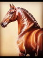 Tableau cheval