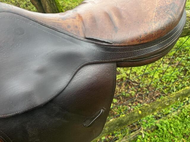 Selle Forestier