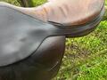 Selle Forestier