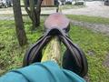 Selle Forestier
