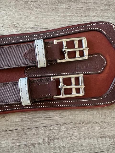 CWD - Sangle de dressage