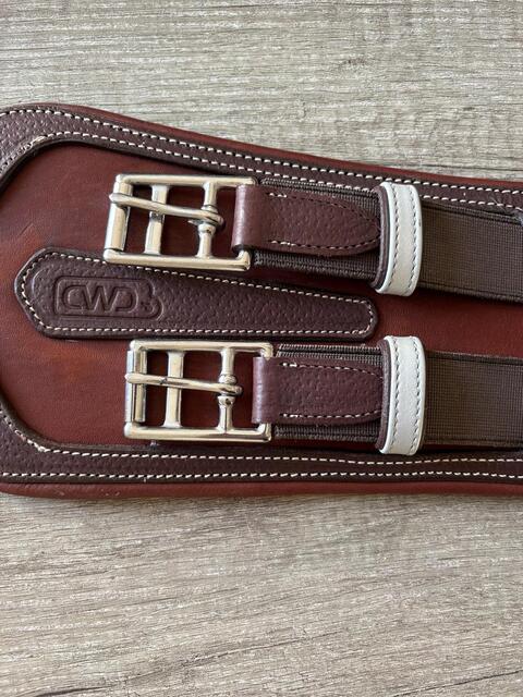 CWD - Sangle de dressage