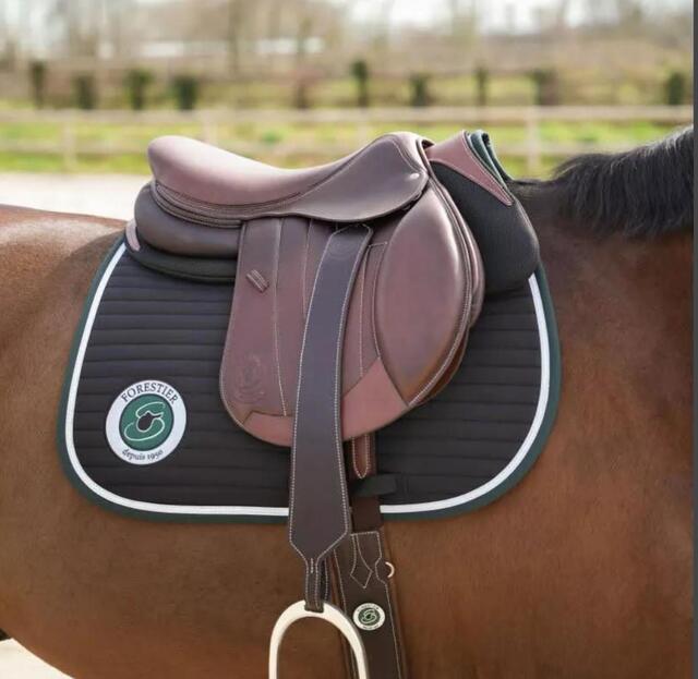 Amortisseur Forestier avec technologie F-Shock