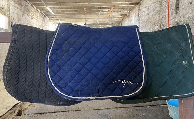 Tapis Kentucky