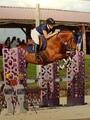 tapis jump’in bleu