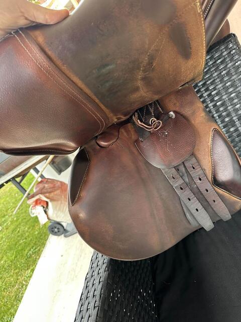 selle de saut d’obstacles Antares