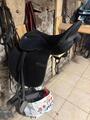 Selle mixte Sigma