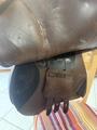 Selle Equiline