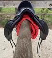 Selle de dressage Équipe modèle Élégance 17"5