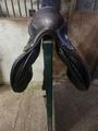 Selle forestier seoul 2023