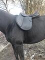 Selle randonnée Rexine Evol Norton