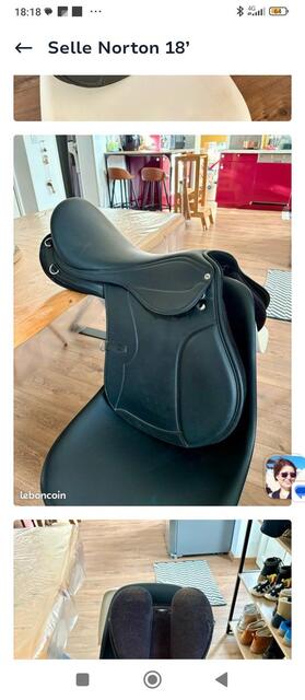 Selle randonnée Rexine Evol Norton
