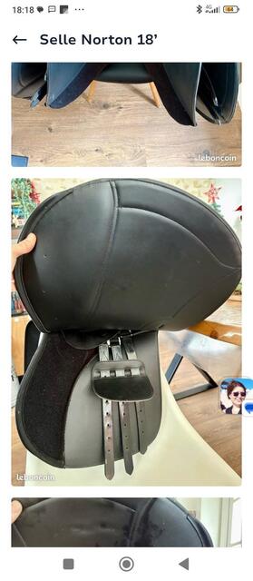 Selle randonnée Rexine Evol Norton