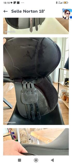 Selle randonnée Rexine Evol Norton