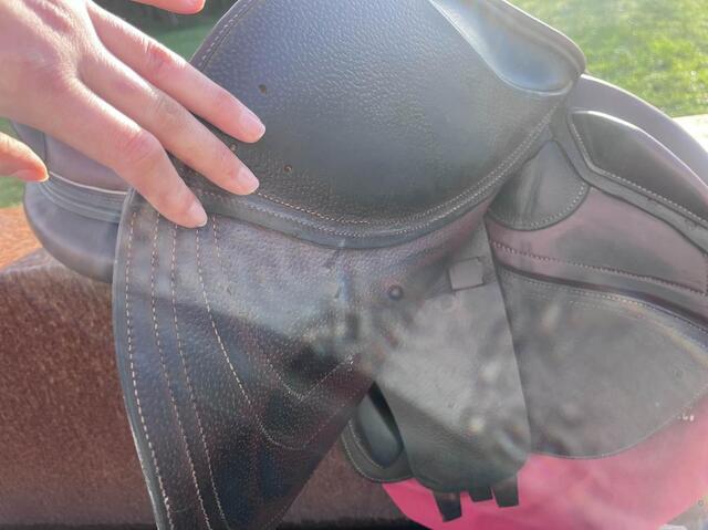 Selle CWD