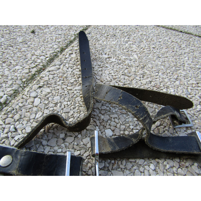 Eperons et lanières