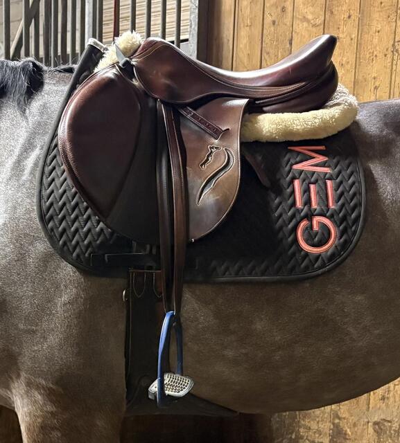 Selle antares