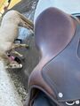Selle Antarès 17.5 pouces - modèle Altaïr