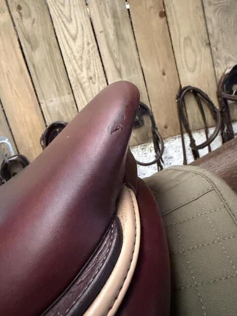 Selle CWD