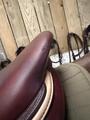 Selle CWD