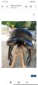 Selle de dressage
