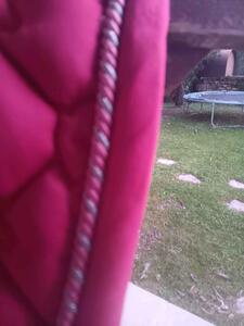 tapis