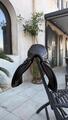 Selle mixte Renaissance semi-creux
