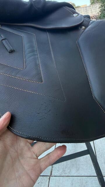 Selle mixte Renaissance semi-creux