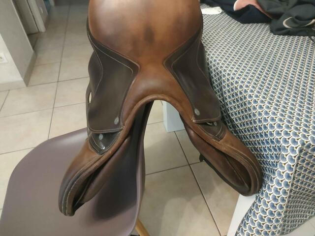 selle Antares Spooner