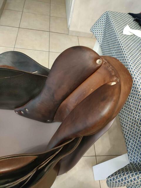 selle Antares Spooner