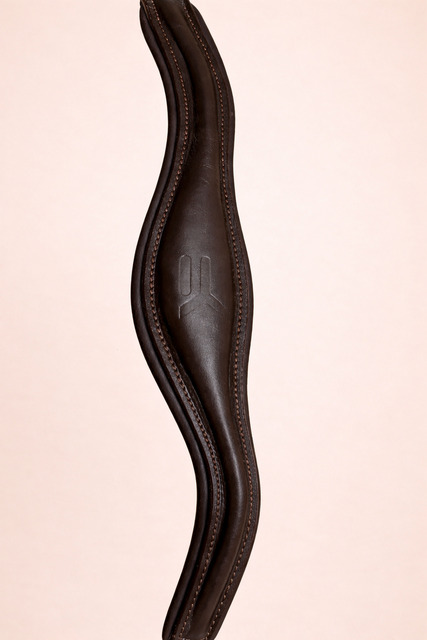 Licol en cuir