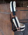 licol moumoute poney