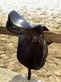 Selle TdeT