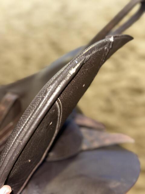 Selle TdeT