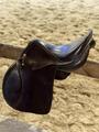 Selle TdeT
